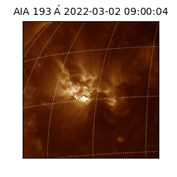 saia - 2022-03-02T09:00:04.843000