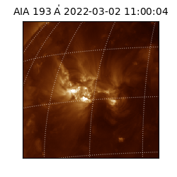 saia - 2022-03-02T11:00:04.843000