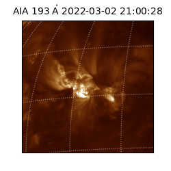 saia - 2022-03-02T21:00:28.843000