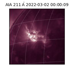 saia - 2022-03-02T00:00:09.626000