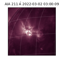 saia - 2022-03-02T03:00:09.618000