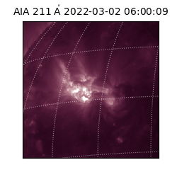 saia - 2022-03-02T06:00:09.626000