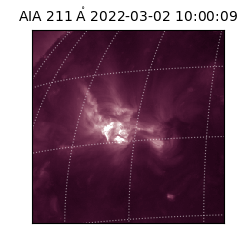 saia - 2022-03-02T10:00:09.630000