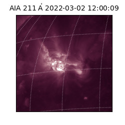 saia - 2022-03-02T12:00:09.629000