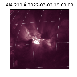 saia - 2022-03-02T19:00:09.618000