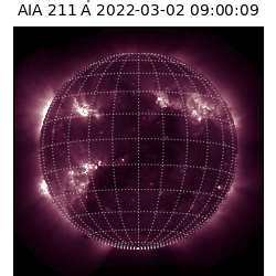 saia - 2022-03-02T09:00:00