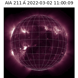 saia - 2022-03-02T11:00:00