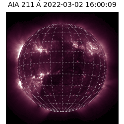 saia - 2022-03-02T16:00:00