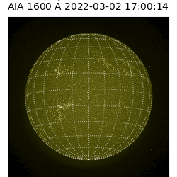 saia - 2022-03-02T17:00:00