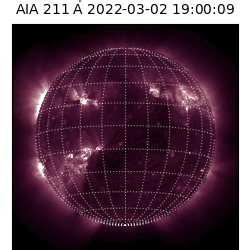 saia - 2022-03-02T19:00:00