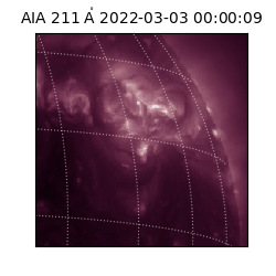 saia - 2022-03-03T00:00:09.634000