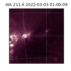 saia - 2022-03-03T01:00:09.622000