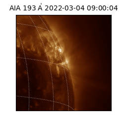 saia - 2022-03-04T09:00:04.843000