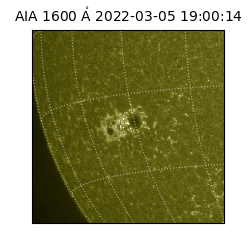saia - 2022-03-05T19:00:14.126000