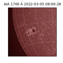 saia - 2022-03-05T08:00:28.739000