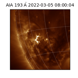 saia - 2022-03-05T08:00:04.843000