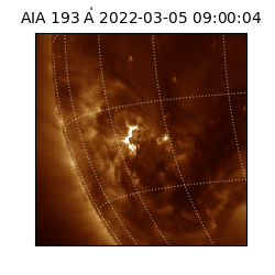 saia - 2022-03-05T09:00:04.843000