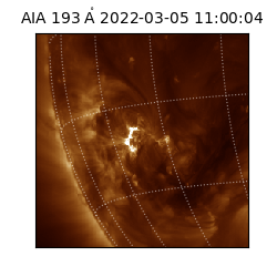 saia - 2022-03-05T11:00:04.843000