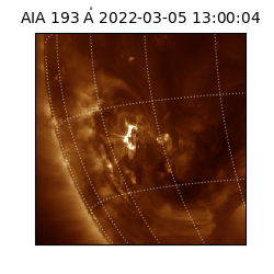 saia - 2022-03-05T13:00:04.843000