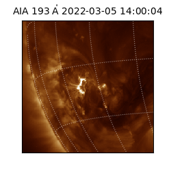 saia - 2022-03-05T14:00:04.843000