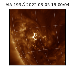 saia - 2022-03-05T19:00:04.843000