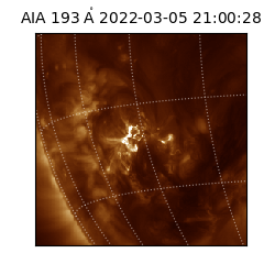 saia - 2022-03-05T21:00:28.843000