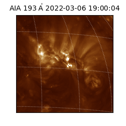 saia - 2022-03-06T19:00:04.843000
