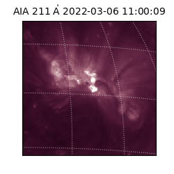 saia - 2022-03-06T11:00:09.626000
