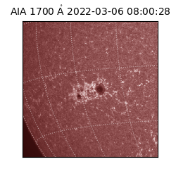 saia - 2022-03-06T08:00:28.748000