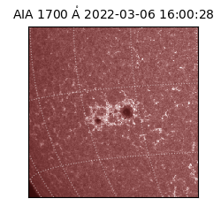 saia - 2022-03-06T16:00:28.749000
