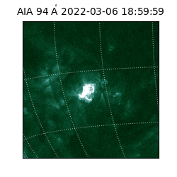 saia - 2022-03-06T18:59:59.122000