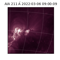 saia - 2022-03-06T09:00:09.626000