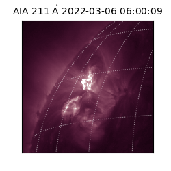 saia - 2022-03-06T06:00:09.631000