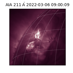 saia - 2022-03-06T09:00:09.626000