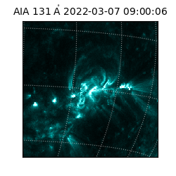 saia - 2022-03-07T09:00:06.647000