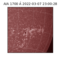 saia - 2022-03-07T23:00:28.746000