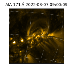 saia - 2022-03-07T09:00:09.350000