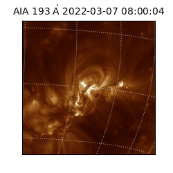 saia - 2022-03-07T08:00:04.843000