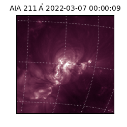 saia - 2022-03-07T00:00:09.630000