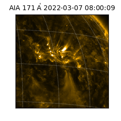 saia - 2022-03-07T08:00:09.350000