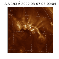 saia - 2022-03-07T03:00:04.842000