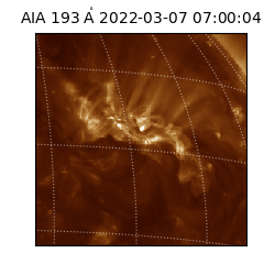 saia - 2022-03-07T07:00:04.843000