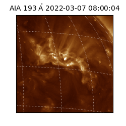 saia - 2022-03-07T08:00:04.843000