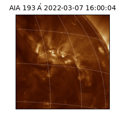 saia - 2022-03-07T16:00:04.843000