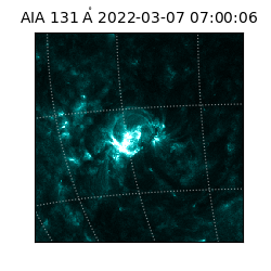 saia - 2022-03-07T07:00:06.625000
