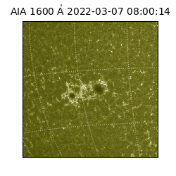 saia - 2022-03-07T08:00:14.125000