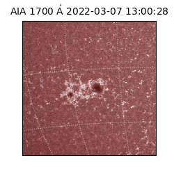 saia - 2022-03-07T13:00:28.745000