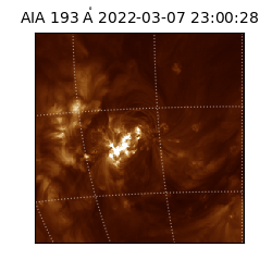 saia - 2022-03-07T23:00:28.843000