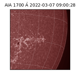 saia - 2022-03-07T09:00:28.745000