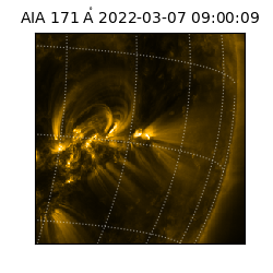 saia - 2022-03-07T09:00:09.350000